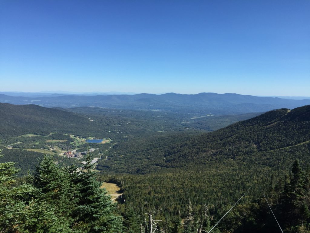 View from Mt. Mansfiend